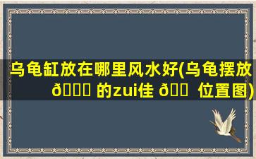 乌龟缸放在哪里风水好(乌龟摆放 🐞 的zui
佳 🐠 位置图)